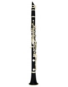 Category: solo clarinet